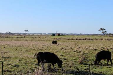 Farm For Sale - VIC - Bessiebelle - 3304 - FOR LEASE  (Image 2)