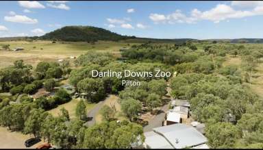 Farm For Sale - QLD - Pilton - 4361 - "Darling Downs Zoo" A Magic Opportunity" 122 Acres  (Image 2)