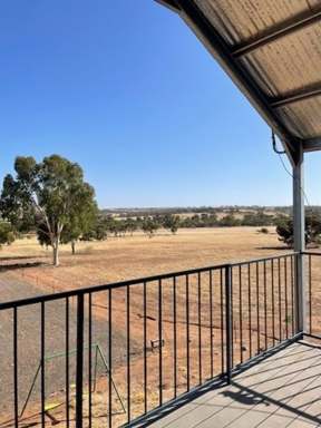 Farm For Sale - WA - Mount Hardey - 6302 - The Complete Package  (Image 2)