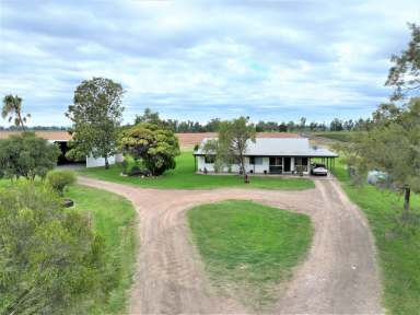 Farm For Sale - NSW - Caroona - 2343 - "SPRING CREEK" Highly Productive Small Holding  (Image 2)