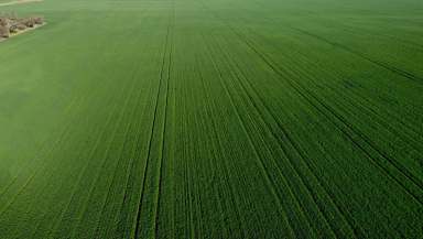 Farm For Sale - VIC - Minyip - 3392 - Premium Scale Wimmera Cropping Opportunity  (Image 2)