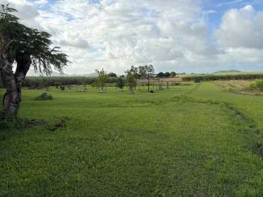 Farm For Sale - QLD - Farleigh - 4741 - PRIME LOCATION CANE FARM  (Image 2)