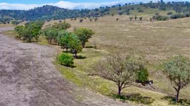 Farm For Sale - NSW - Willow Tree - 2339 - "Cedar Tops"  A Prime Rural Property Offering Exceptional Agricultural and Lifestyle Potential  (Image 2)