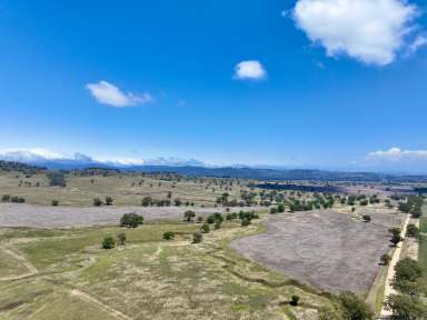 Farm For Sale - NSW - Willow Tree - 2339 - "Cedar Tops"  A Prime Rural Property Offering Exceptional Agricultural and Lifestyle Potential  (Image 2)