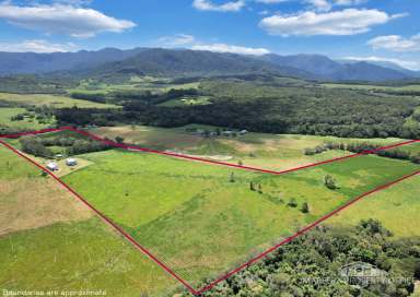 Farm For Sale - QLD - Julatten - 4871 - REFRESHED QUEENSLANDER ON 37 ELEVATED ACRES OF GREEN PASTURE!  (Image 2)