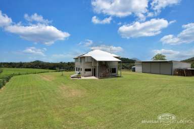 Farm For Sale - QLD - Julatten - 4871 - REFRESHED QUEENSLANDER ON 37 ELEVATED ACRES OF GREEN PASTURE!  (Image 2)