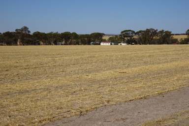 Farm For Sale - WA - Wogolin - 6370 - Heritage Sheep and Crop Country  (Image 2)