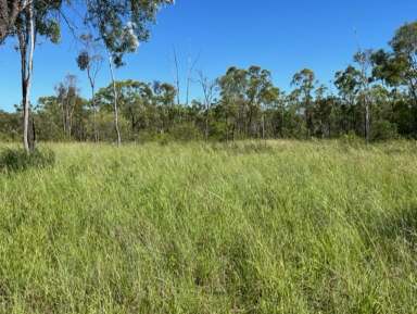 Farm For Sale - QLD - Seventy Mile - 4820 - KELCC LODGE - Rural Lifestyle with Urban Benefits  (Image 2)