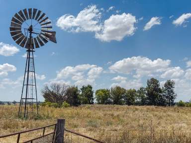 Farm For Sale - NSW - Cooks Myalls - 2870 - ‘WENDOUREE’ 2 x Houses ~ 2580 acres. Estate Must Be Sold  (Image 2)