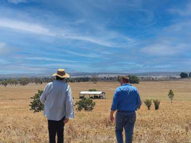 Farm For Sale - NSW - Cooks Myalls - 2870 - ‘WENDOUREE’ 2 x Houses ~ 2580 acres. Estate Must Be Sold  (Image 2)