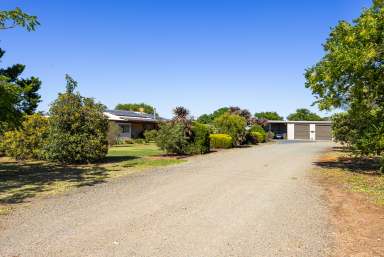 Farm For Sale - NSW - Temora - 2666 - AFFORDABLE ACREAGE - ACT NOW!  (Image 2)