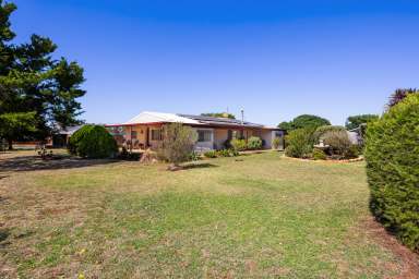 Farm For Sale - NSW - Temora - 2666 - AFFORDABLE ACREAGE - ACT NOW!  (Image 2)