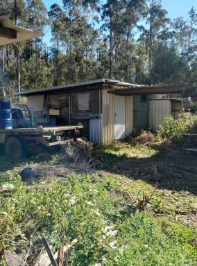 Farm For Sale - NSW - Tabulam - 2469 - THE VIEW FROM THE TOP  (Image 2)