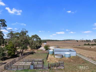 Farm For Sale - VIC - Stony Creek - 3957 - Quality Grazing - Central Location  (Image 2)