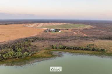 Farm For Sale - NSW - Menindee - 2879 - COPI STATION MENINDEE NSW LAKES DISTRICT - offers irrigation and drought proofing opportunities  1738.91* HECTARES – 4296.78 ACRES*  (Image 2)