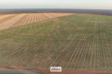 Farm For Sale - NSW - Menindee - 2879 - COPI STATION MENINDEE NSW LAKES DISTRICT - offers irrigation and drought proofing opportunities  1738.91* HECTARES – 4296.78 ACRES*  (Image 2)