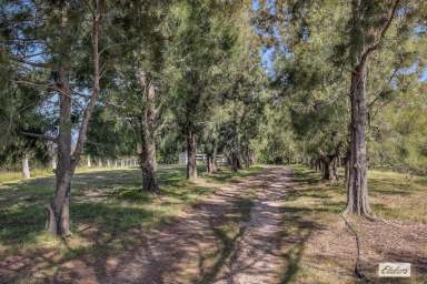 Farm For Sale - NSW - Brogo - 2550 - Tranquil Rural Escape on 20 Acres  (Image 2)