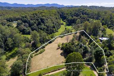 Farm For Sale - NSW - Bellingen - 2454 - When lifestyle, potential and scenery all come together on 2.12 hectares of land  (Image 2)