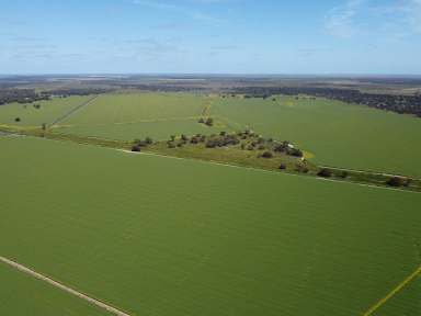 Farm For Sale - NSW - Hillston - 2675 - Institutional-Scale, Diversified Cropping, Horticulture & Grazing Portfolio with 35,938ML* of Water Entitlements  (Image 2)