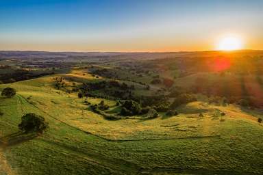 Farm For Sale - NSW - Clunes - 2480 - Eltham Springs - An iconic rural landholding  (Image 2)