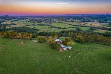 Farm For Sale - NSW - Clunes - 2480 - Eltham Springs - An iconic rural landholding  (Image 2)