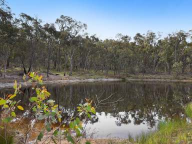 Farm Auction - NSW - Orange - 2800 - Tranquil 5-Bedroom Retreat on 70 Acres of Native Bushland  (Image 2)