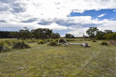 Farm For Sale - SA - Lucindale - 5272 - Lifestyle, Opportunity, Serenity  (Image 2)