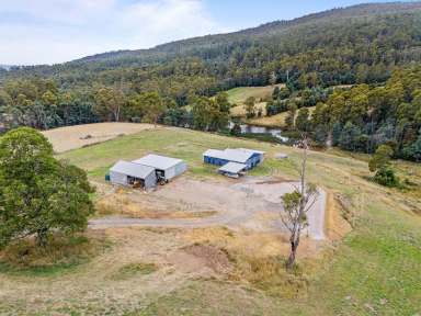 Farm For Sale - TAS - Acacia Hills - 7306 - Acreage minutes from Devonport  (Image 2)