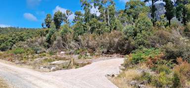 Farm For Sale - TAS - Claude Road - 7306 - Bush Block In the Lee of Mount Roland - Ideal Rural Hide Away  (Image 2)