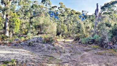 Farm For Sale - TAS - Claude Road - 7306 - Bush Block In the Lee of Mount Roland - Ideal Rural Hide Away  (Image 2)