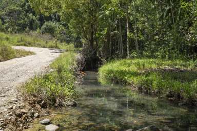 Farm For Sale - NSW - Urliup - 2484 - "Mount View" - Ideal Tweed Hinterland Escape  (Image 2)