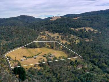 Farm For Sale - TAS - Black Hills - 7140 - Rural Lifestyle Home on 33 Acres  (Image 2)