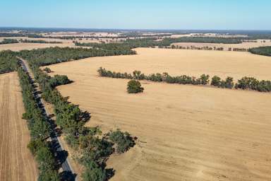 Farm For Sale - VIC - Nathalia - 3638 - SUMMIT AGGREGATION  (Image 2)