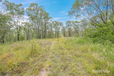 Farm For Sale - QLD - Gaeta - 4671 - "Escape to "Mountain Valley View" - Your Private Bushland Retreat"  (Image 2)