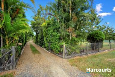 Farm For Sale - QLD - Branyan - 4670 - Your Own Private Oasis Acreage living Minutes to town! A MUST VIEW!  (Image 2)