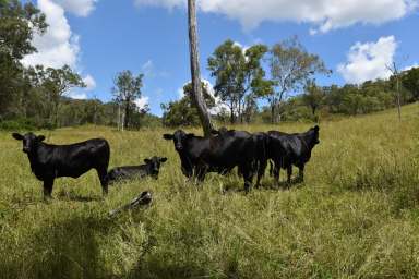 Farm For Sale - QLD - Mount Stanley - 4314 - Large, Upper Brisbane River District Cattle Property.  (Image 2)