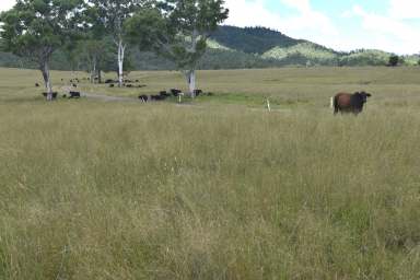 Farm For Sale - QLD - Mount Stanley - 4314 - Large, Upper Brisbane River District Cattle Property.  (Image 2)