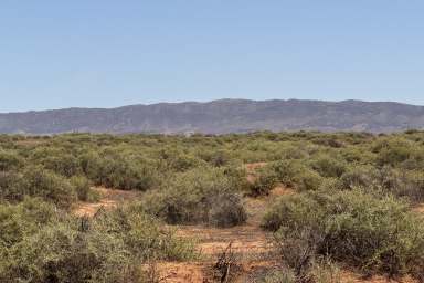 Farm For Sale - SA - Minburra - 5431 - Prime Grazing Land with Water and Infrastructure  (Image 2)