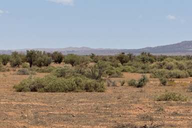 Farm For Sale - SA - Minburra - 5431 - Prime Grazing Land with Water and Infrastructure  (Image 2)