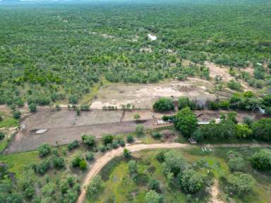 Farm For Sale - NT - Flying Fox - 0852 - MOROAK AND GOONDOOLOO STATIONS - LARGE-SCALE CATTLE BREEDING OPERATION AND APPROVED CARBON PROJECT  (Image 2)