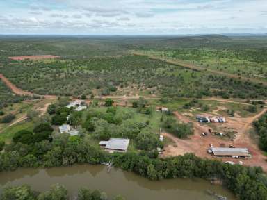 Farm For Sale - NT - Flying Fox - 0852 - MOROAK AND GOONDOOLOO STATIONS - LARGE-SCALE CATTLE BREEDING OPERATION AND APPROVED CARBON PROJECT  (Image 2)