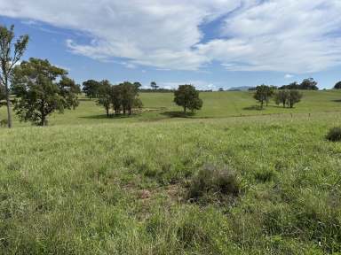 Farm For Sale - NSW - Singleton - 2330 - A Serene Sanctuary: Your Dream Home Awaits  (Image 2)