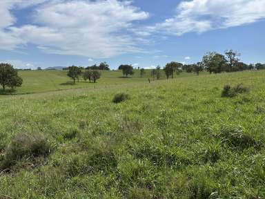 Farm For Sale - NSW - Singleton - 2330 - A Serene Sanctuary: Your Dream Home Awaits  (Image 2)