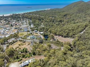 Farm For Sale - TAS - Sisters Beach - 7321 - 41A Banksia Avenue  (Image 2)