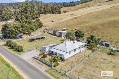 Farm For Sale - TAS - Gunns Plains - 7315 - BREATHTAKING VIEWS WITH 90-ACRES (APPROX)  (Image 2)