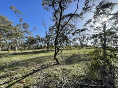 Farm Sold - VIC - St Arnaud - 3478 - Best of Both Worlds - Semi Rural & Residential (Under Offer)  (Image 2)