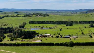 Farm Auction - NSW - Braidwood - 2622 - "Maxville Park"  (Image 2)