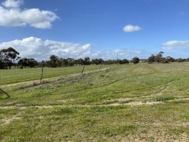 Farm For Sale - WA - Townsendale - 6311 - Darts Farm  (Image 2)