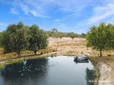 Farm For Sale - VIC - Casterton - 3311 - Ultimate lifestyle property on 29 acres in town limits.  (Image 2)