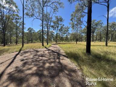 Farm For Sale - QLD - Wattle Camp - 4615 - Fantastic Property to Build on and get away.  (Image 2)